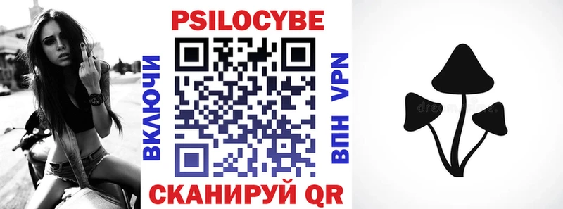 Псилоцибиновые грибы прущие грибы  KRAKEN ТОР  Нюрба  магазин   